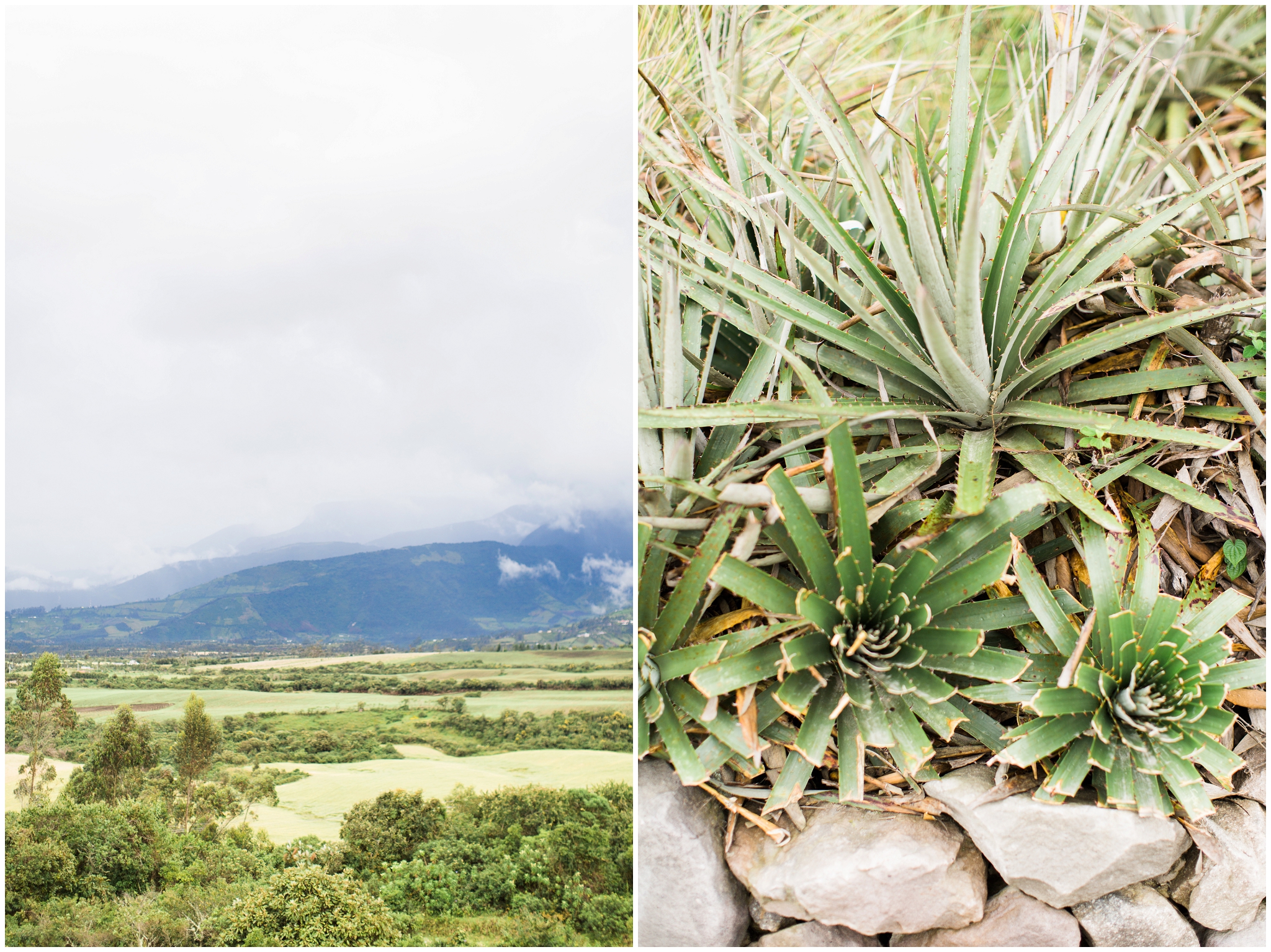 Quito, Ecuador | ©Fleckography 2015 www.fleckography.com, www.morningsbythesea.com