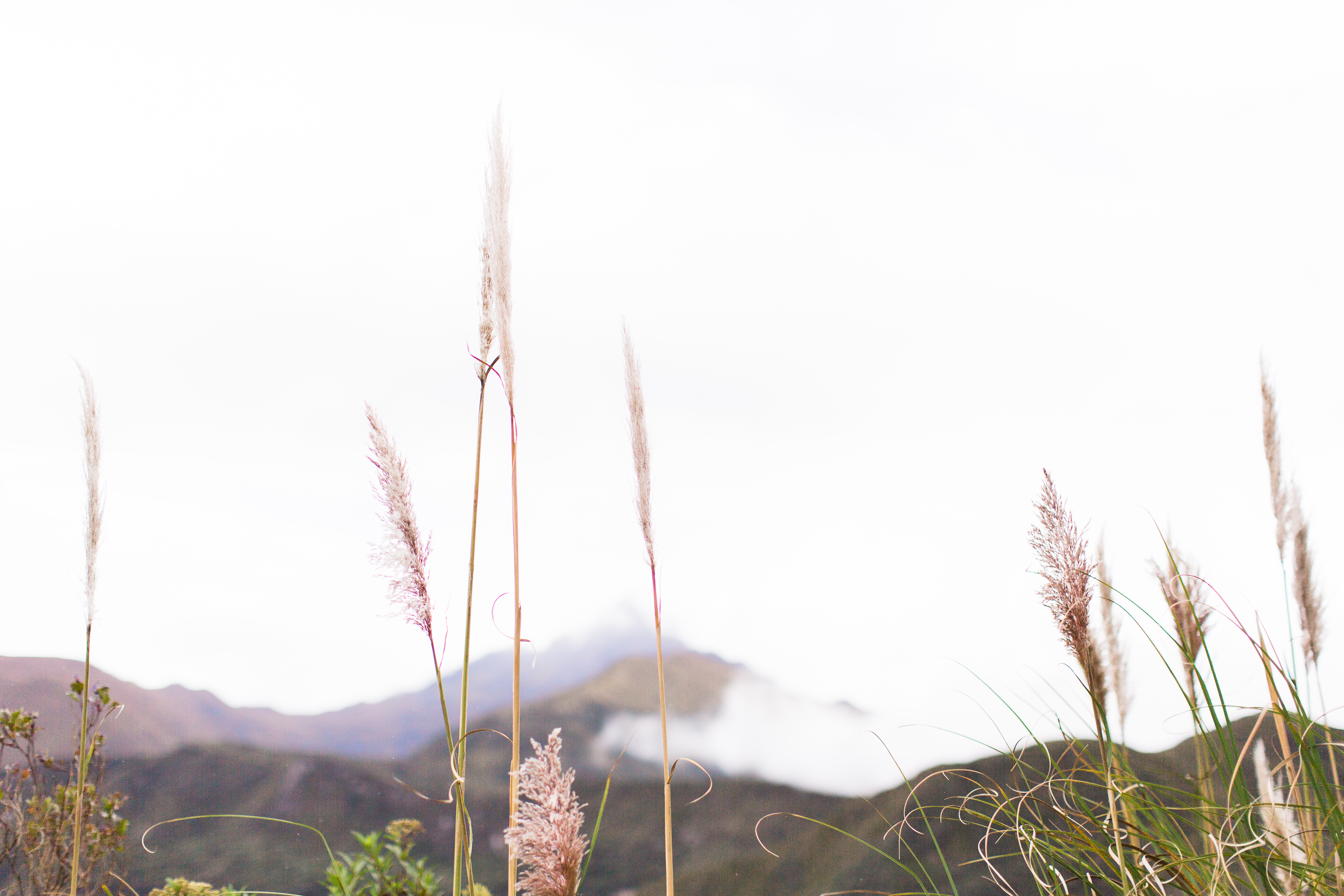 Quito, Ecuador | ©Fleckography 2015 www.fleckography.com, www.m