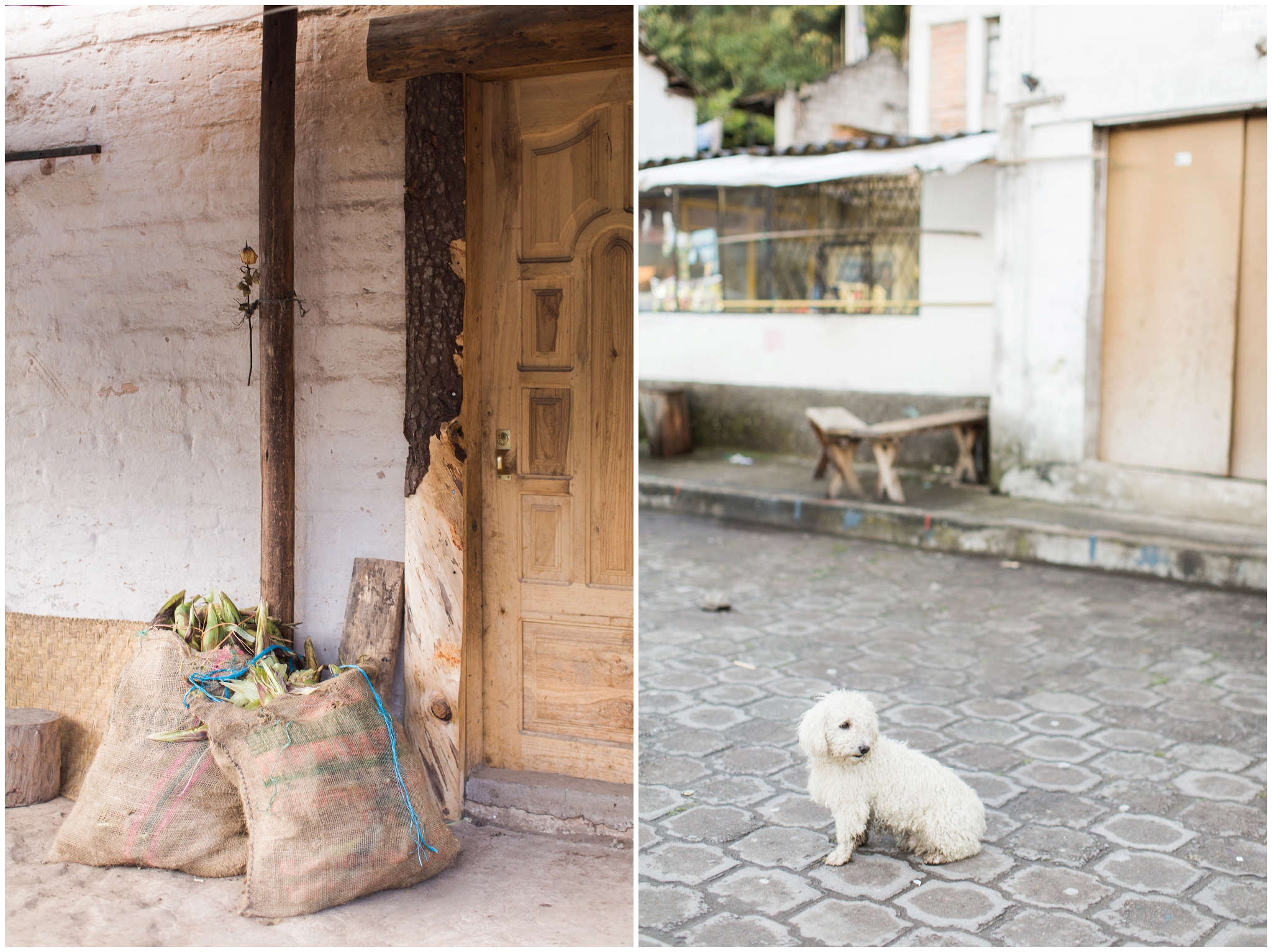 Quito, Ecuador | ©Fleckography 2015 www.fleckography.com, www.morningsbythesea.com