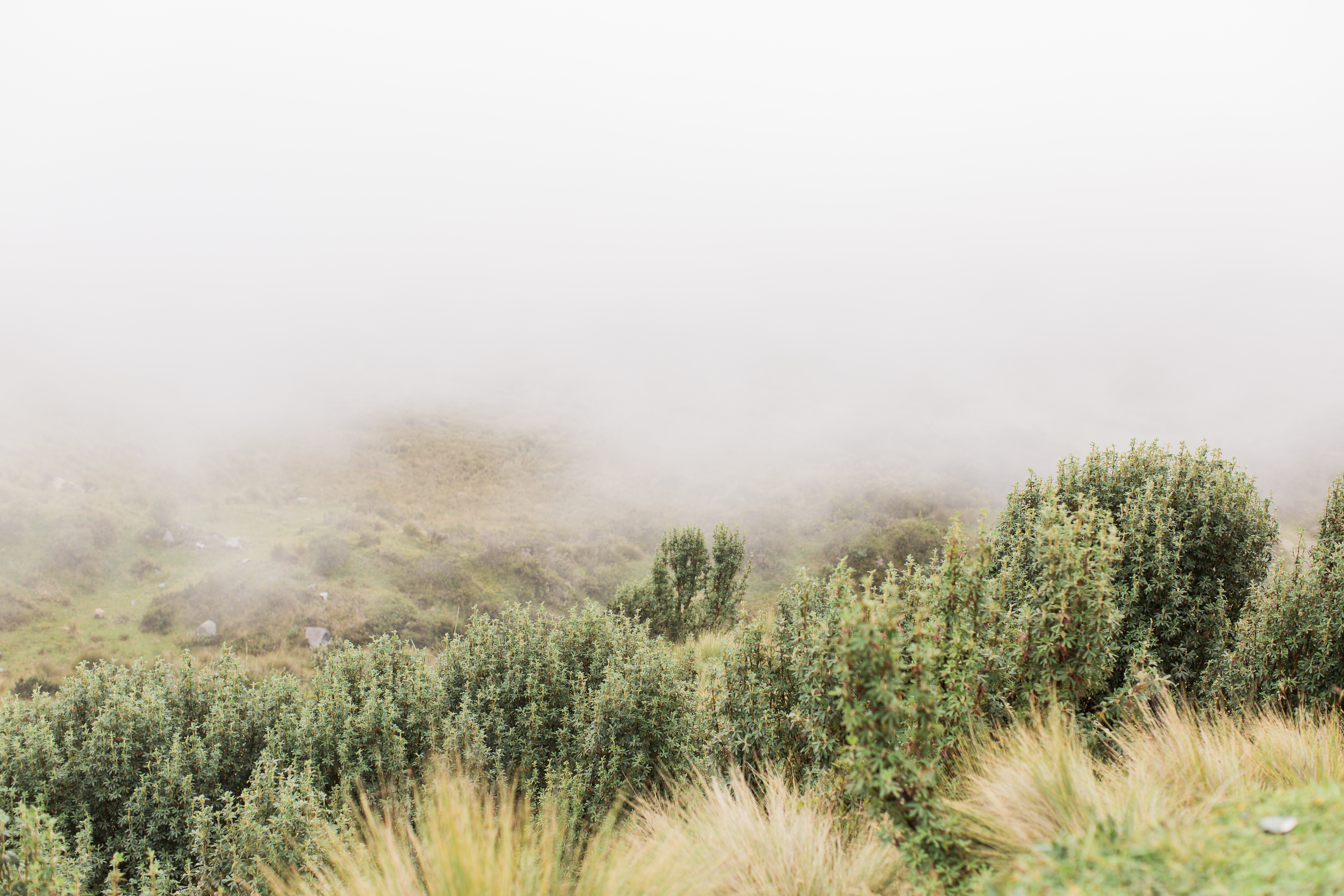 Quito, Ecuador | ©Fleckography 2015 www.fleckography.com, www.m