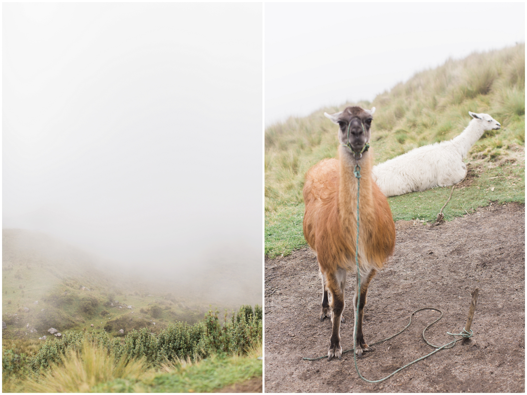 Quito, Ecuador | ©Fleckography 2015 www.fleckography.com, www.morningsbythesea.com